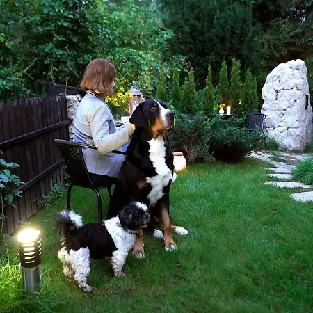 Homestay szállás Bazar Lwowski