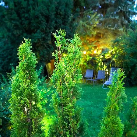 Bazar Lwowski Homestay szállás