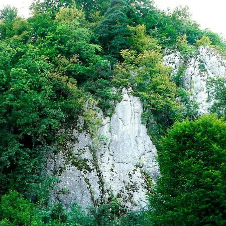 Homestay szállás Bazar Lwowski Ojcow